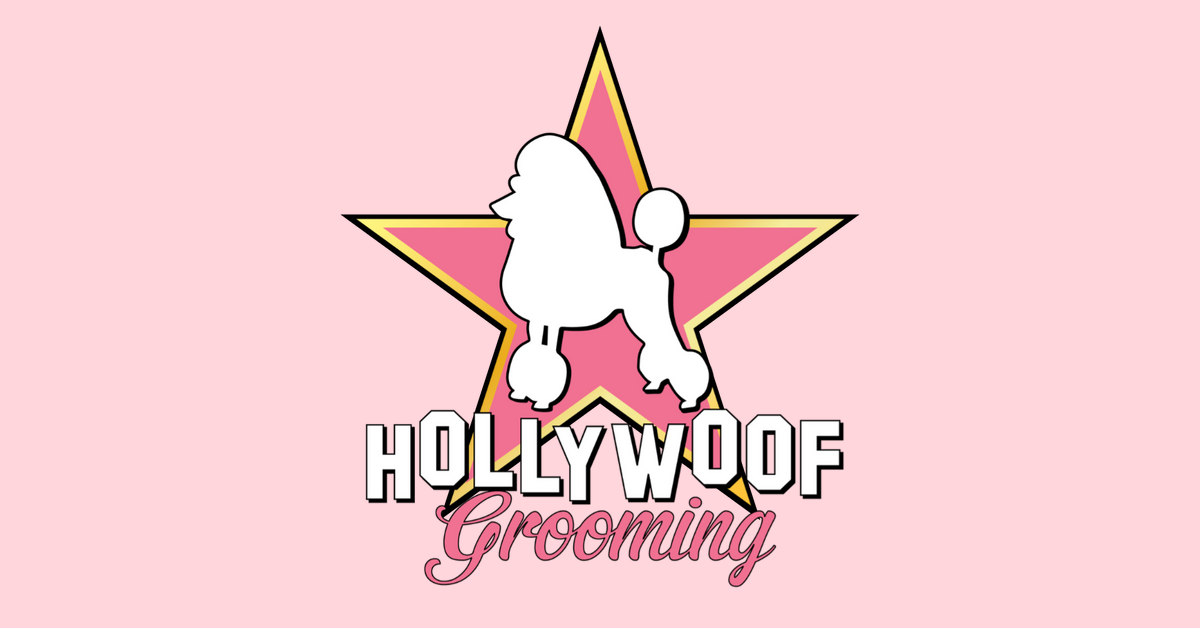 Hollywoof grooming salon sale