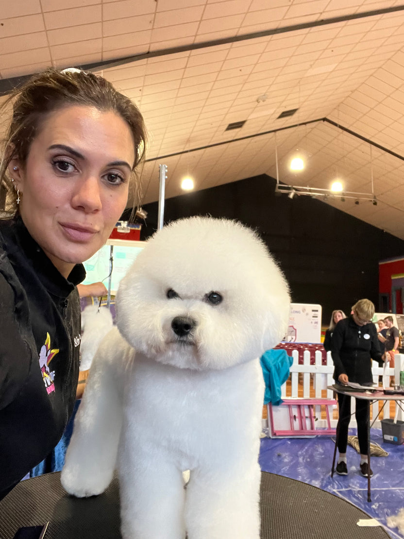 gallery-hollywoof-grooming